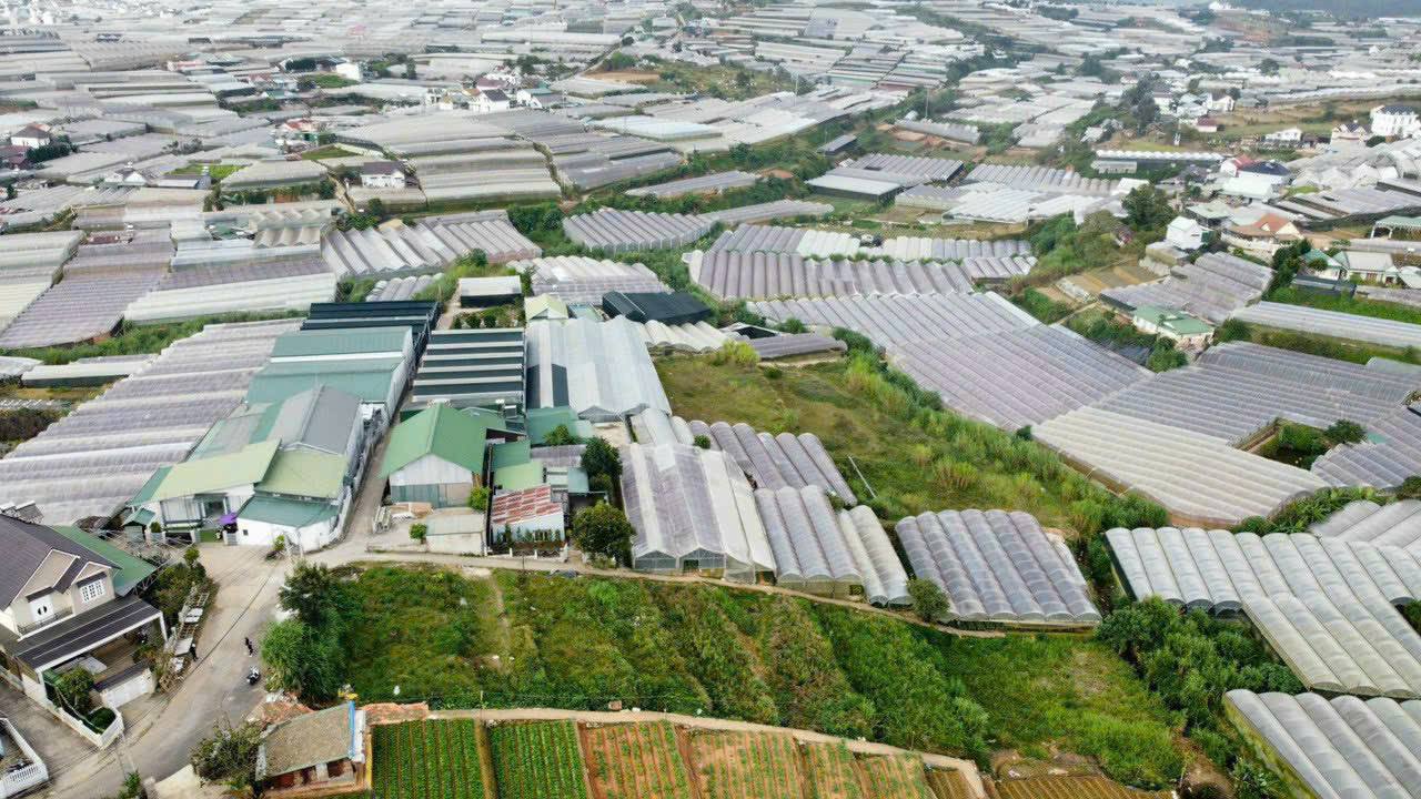 Bán 1101m2 ĐẤT MẶT TIỀN đường Trịnh Hoài Đức - Nam Hồ, P11, Đà Lạt, VIEW ĐẸP - Ảnh 1